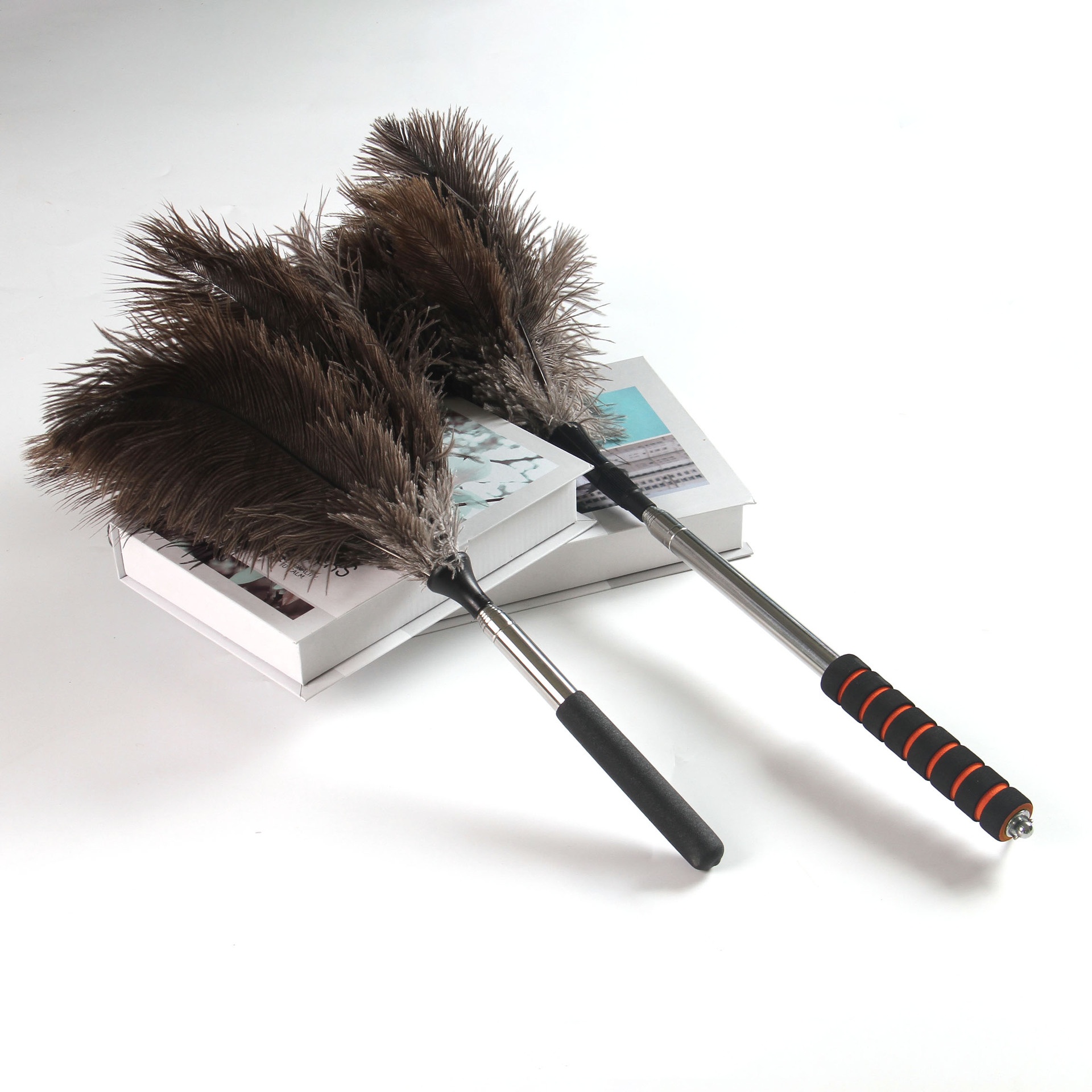 Hair Care Journal - Spolverino scalabile Manico lungo Rimozione polvere
